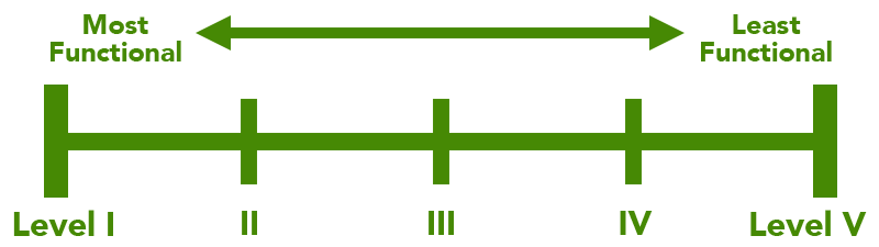 motor_function_range2 (1)